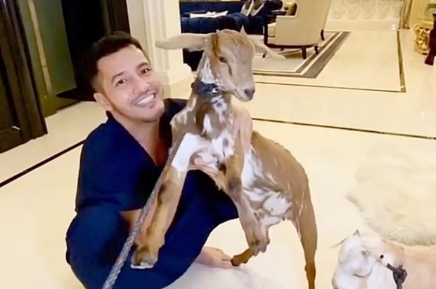 Kucing Liar Semakin Ganas, Aliff Syukri Nak Cuba Jinakkan Kambing