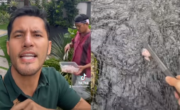 Aliff Syukri Beri Ikan Peliharaan Makan Daging Kambing & Lembu, Kos Sebulan RM3,000