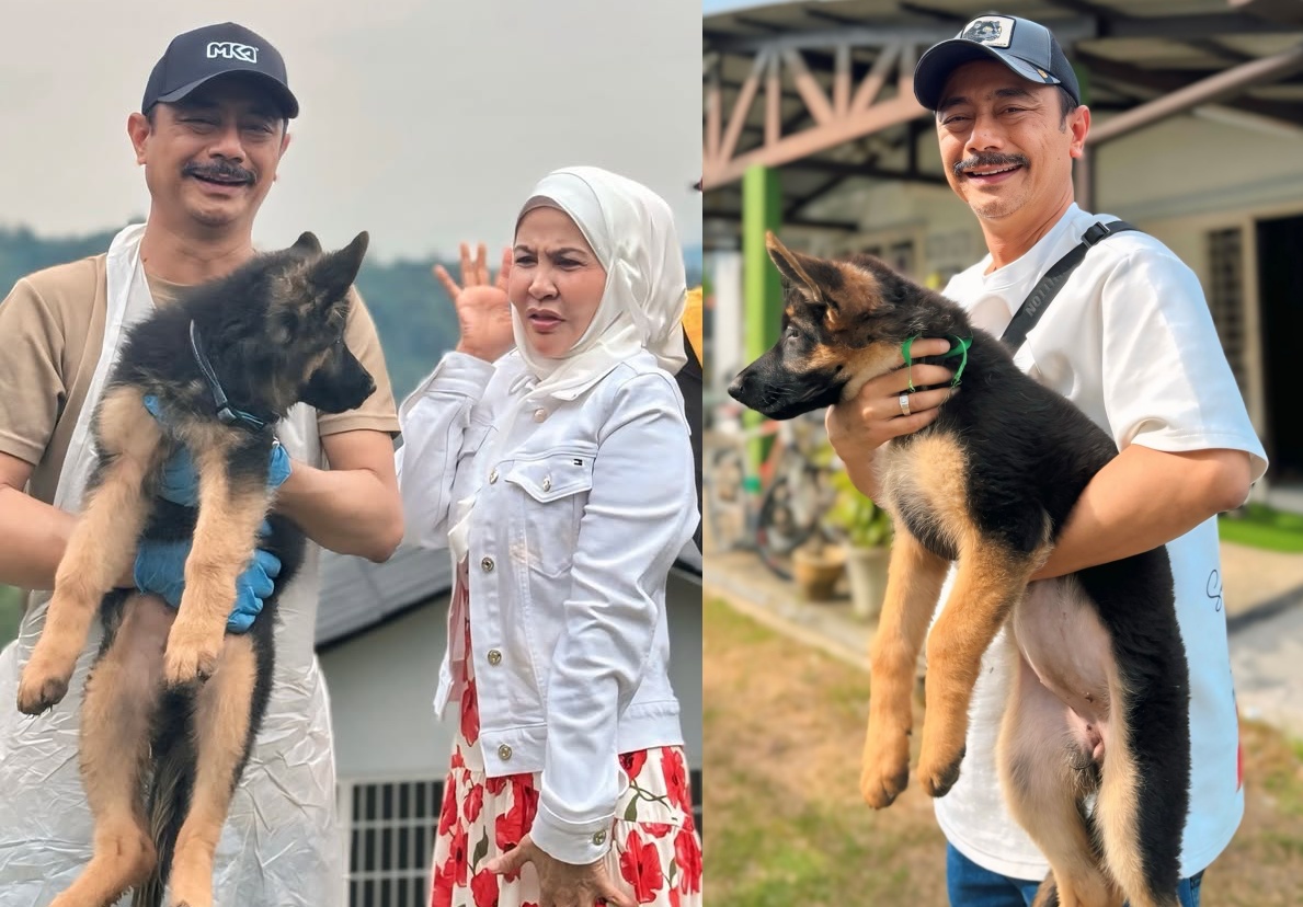 Bonda Rozita Bela Anjing K9 Untuk Tujuan Keselamatan, Ada Cip Mikro Dalam Badan