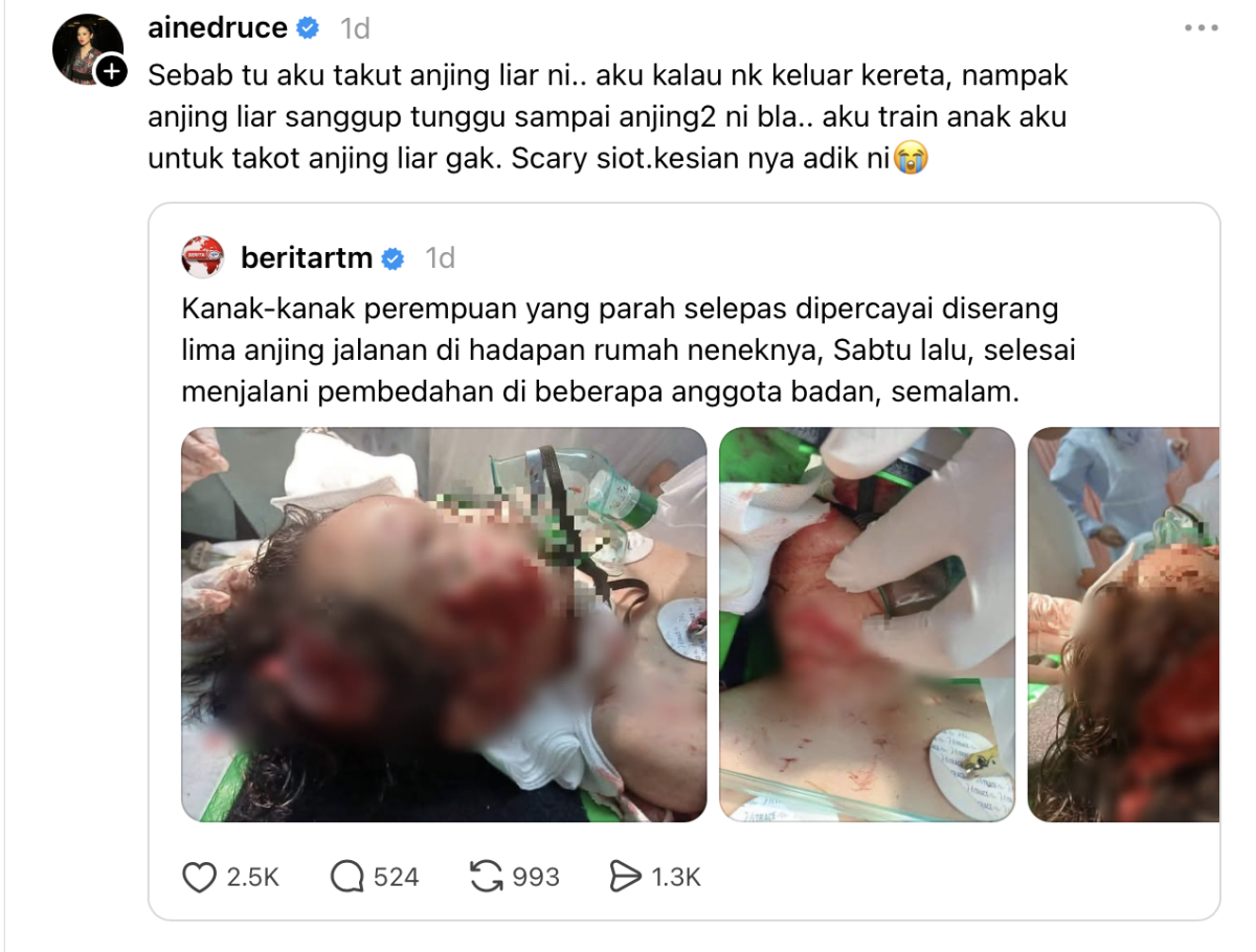 “Aku Ajar Anak Aku Untuk Takut Anjing Liar” “Aku Ajar Anak Aku Untuk Takut Anjing Liar”